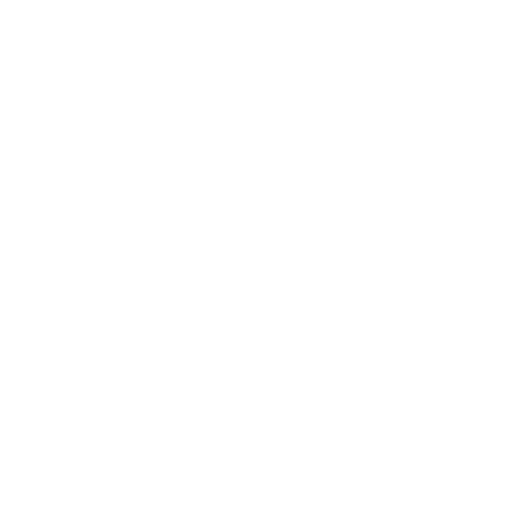 icon sostenibilità
